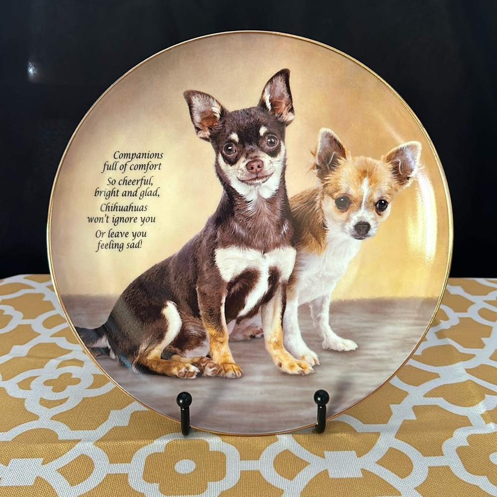 Darby Mint. Companions. Cherished Chihuahuas. No flaws.